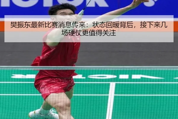 樊振东最新比赛消息传来：状态回暖背后，接下来几场硬仗更值得关注